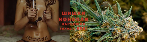 гашик Мегион