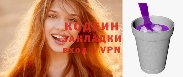 гашик Мегион