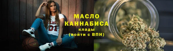 гашик Мегион