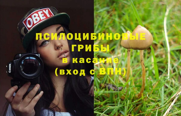 МДПВ Михайловка