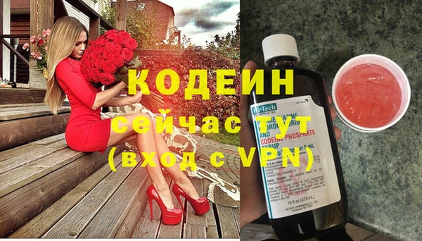 гашик Мегион