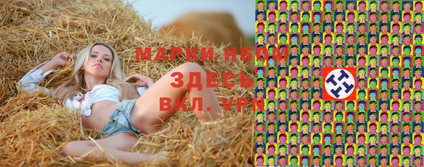 гашик Мегион