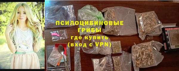 PSILOCYBIN Михайлов