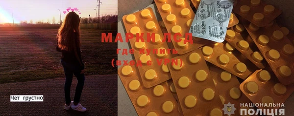 PSILOCYBIN Михайлов