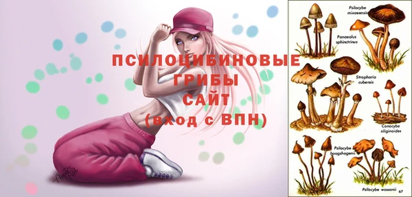 PSILOCYBIN Бикин