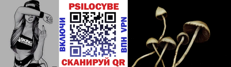 Галлюциногенные грибы мицелий  закладка  Фокино 